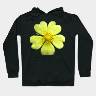 Yellow Wildflower Hoodie